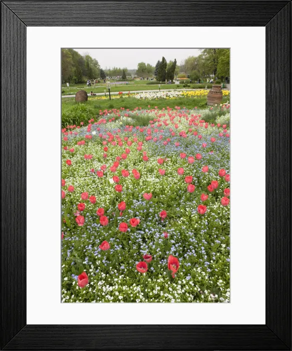 Framed Print : DDE-90034908 Framed Print : DDE-90034908