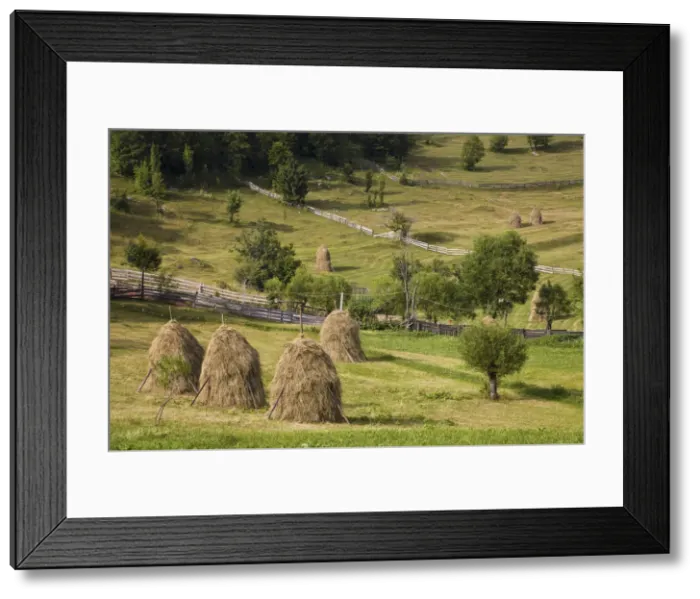 Framed Print : DDE-90034914