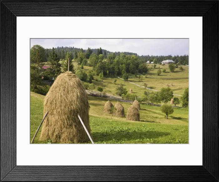 Framed Print : DDE-90034915 Framed Print : DDE-90034915