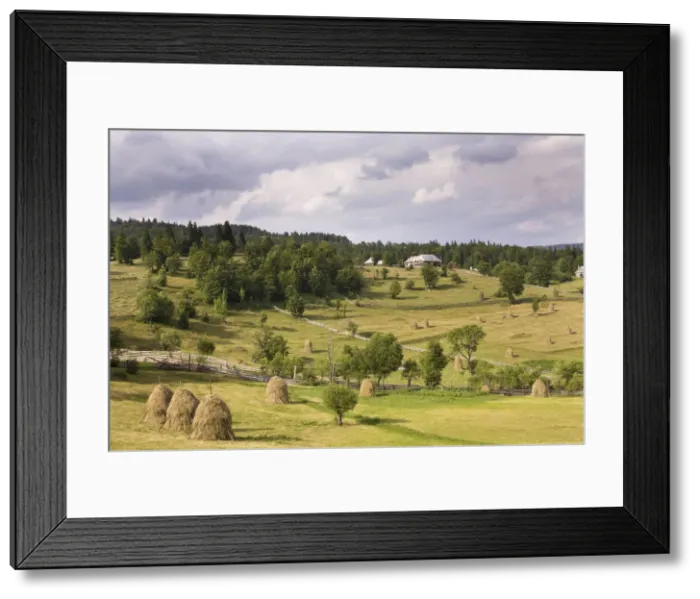 Framed Print : DDE-90034916 Framed Print : DDE-90034916