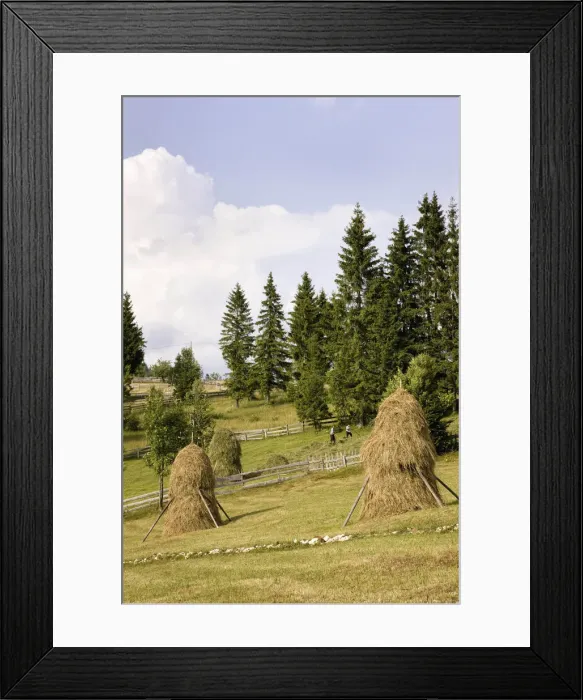Framed Print : DDE-90034918 Framed Print : DDE-90034918
