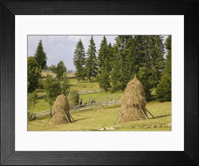 Framed Print : DDE-90034917