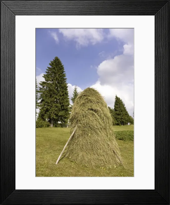 Framed Print : DDE-90034919 Framed Print : DDE-90034919