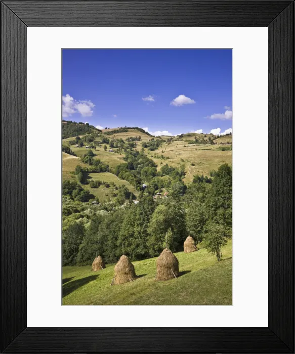 Framed Print : DDE-90034921 Framed Print : DDE-90034921
