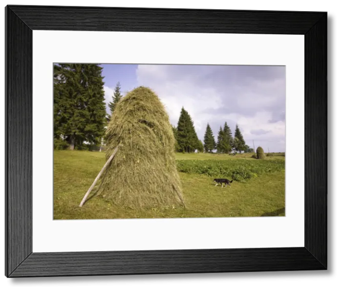 Framed Print : DDE-90034920 Framed Print : DDE-90034920
