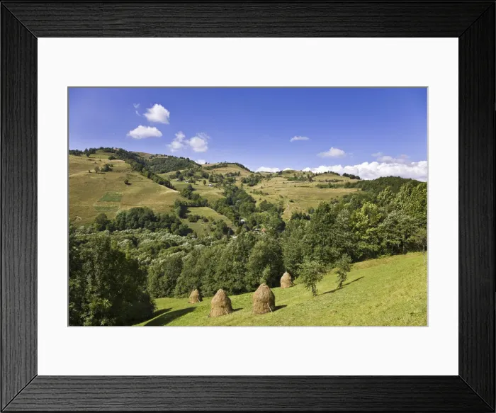 Framed Print : DDE-90034922 Framed Print : DDE-90034922
