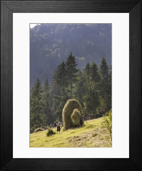 Framed Print : DDE-90034923