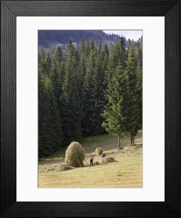 Framed Print : DDE-90034925 Framed Print : DDE-90034925