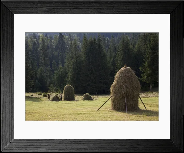 Framed Print : DDE-90034924 Framed Print : DDE-90034924