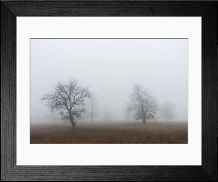 Framed Print : DDE-90034926