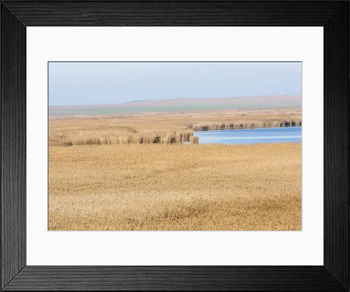 Framed Print : DDE-90034927 Framed Print : DDE-90034927