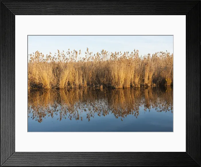 Framed Print : DDE-90034928