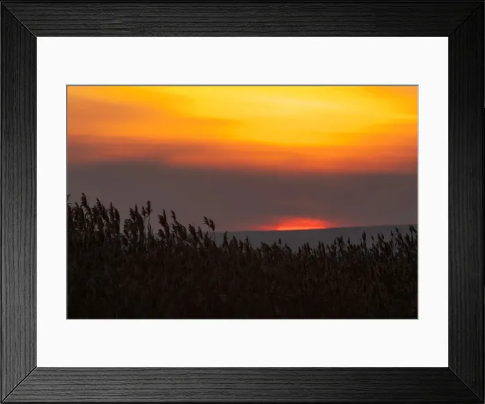 Framed Print : DDE-90034931 Framed Print : DDE-90034931