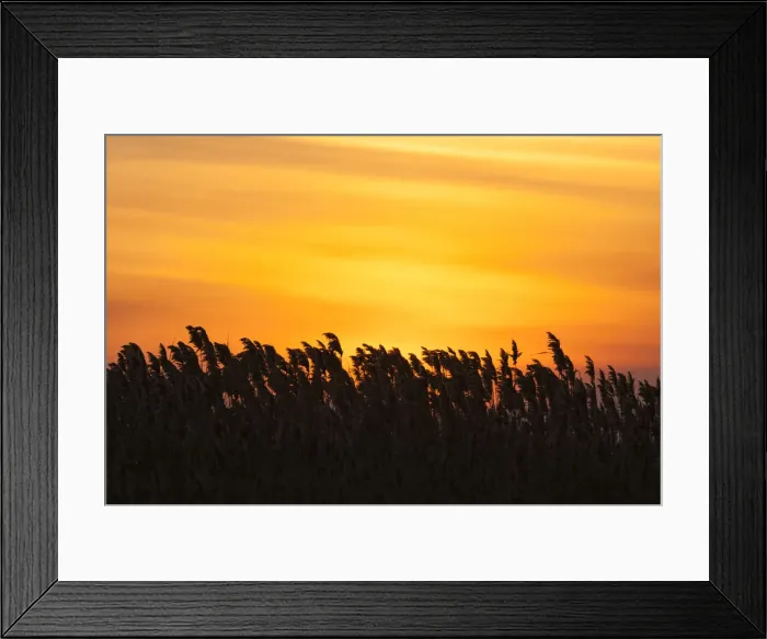 Framed Print : DDE-90034930 Framed Print : DDE-90034930