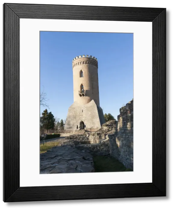 Framed Print : DDE-90034933