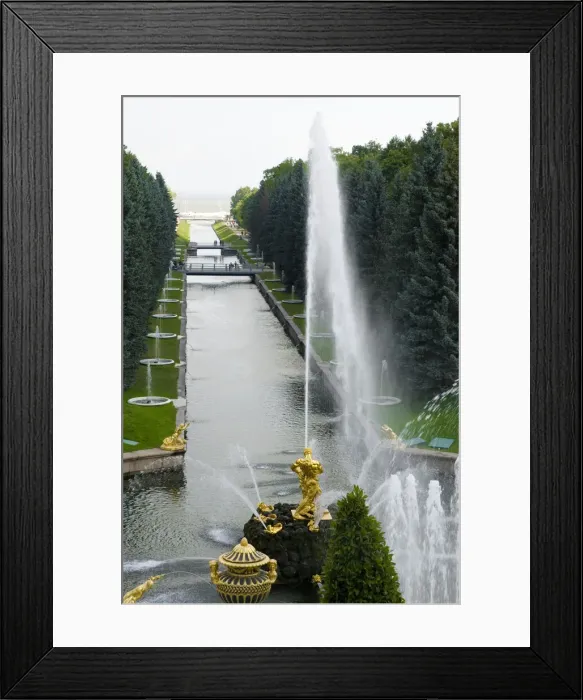Framed Print : DDE-90034938