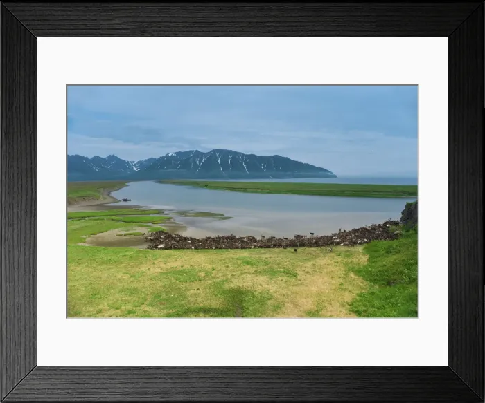 Framed Print : DDE-90034995 Framed Print : DDE-90034995