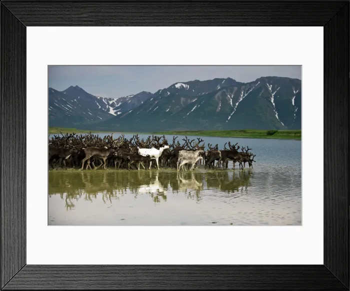 Framed Print : DDE-90034998 Framed Print : DDE-90034998