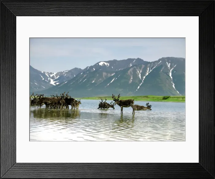 Framed Print : DDE-90034999 Framed Print : DDE-90034999