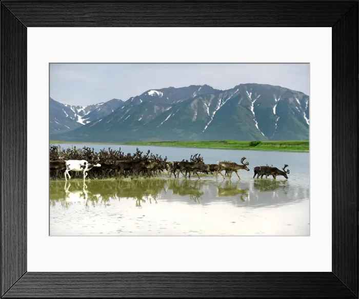 Framed Print : DDE-90034997 Framed Print : DDE-90034997