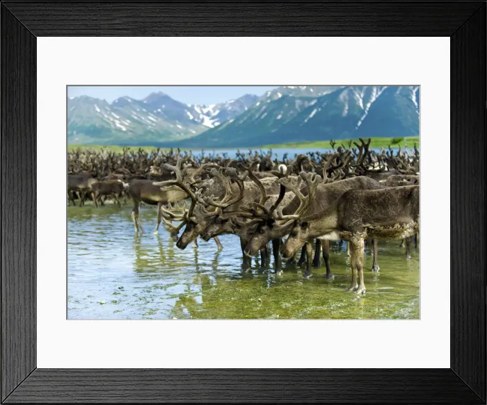 Framed Print : DDE-90035002 Framed Print : DDE-90035002