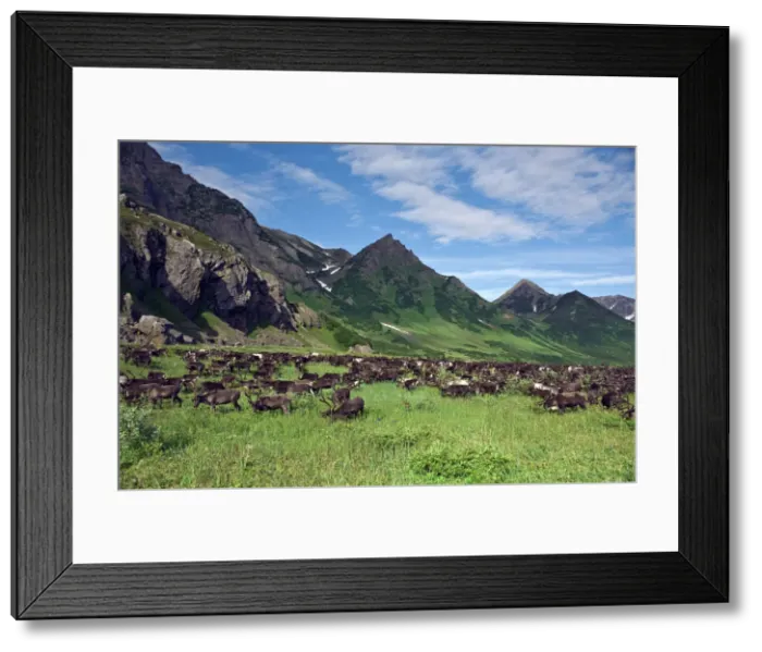 Framed Print : DDE-90035004 Framed Print : DDE-90035004