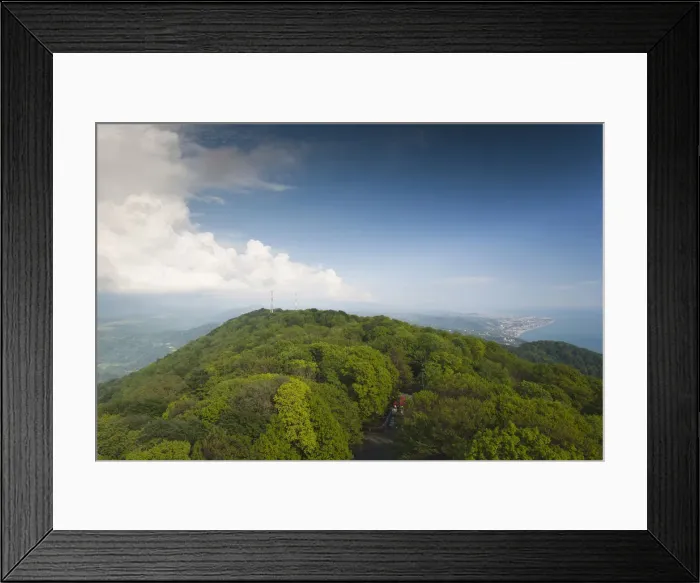 Framed Print : DDE-90035009 Framed Print : DDE-90035009