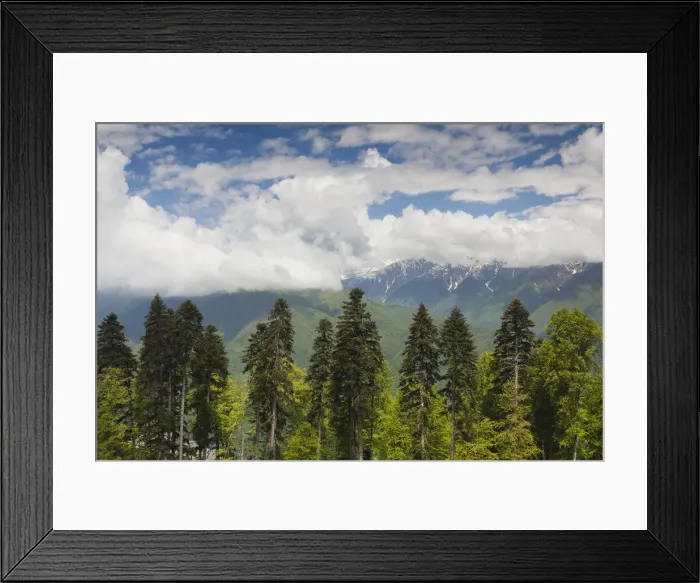 Framed Print : DDE-90035013 Framed Print : DDE-90035013