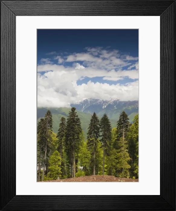 Framed Print : DDE-90035014 Framed Print : DDE-90035014