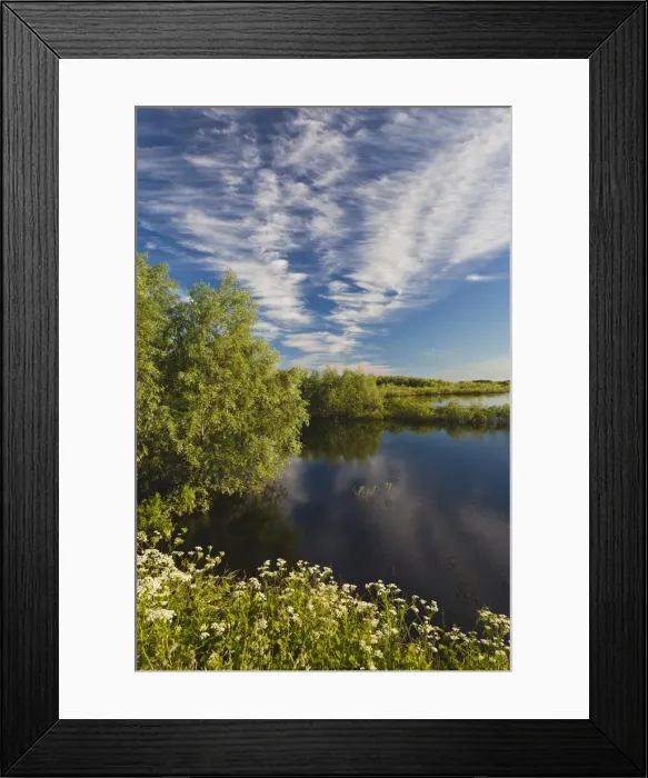 Framed Print : DDE-90035056 Framed Print : DDE-90035056