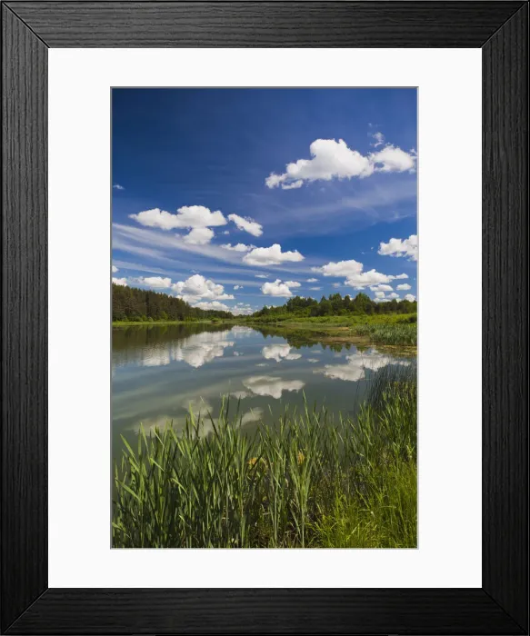 Framed Print : DDE-90035066 Framed Print : DDE-90035066