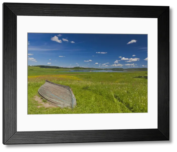 Framed Print : DDE-90035071 Framed Print : DDE-90035071