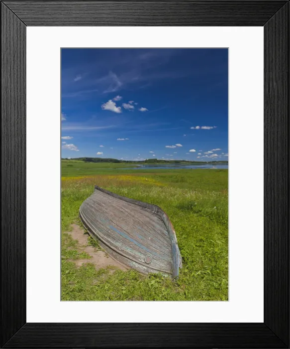 Framed Print : DDE-90035072 Framed Print : DDE-90035072