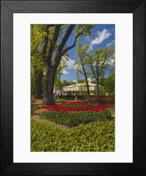 Framed Print : DDE-90035091 Framed Print : DDE-90035091