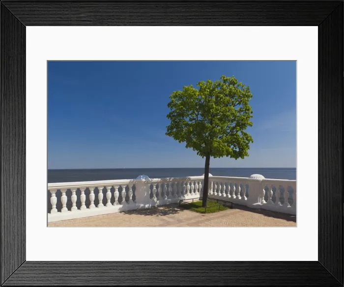 Framed Print : DDE-90035094 Framed Print : DDE-90035094