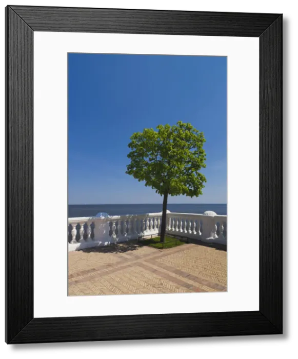 Framed Print : DDE-90035095 Framed Print : DDE-90035095