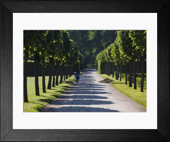 Framed Print : DDE-90035098 Framed Print : DDE-90035098