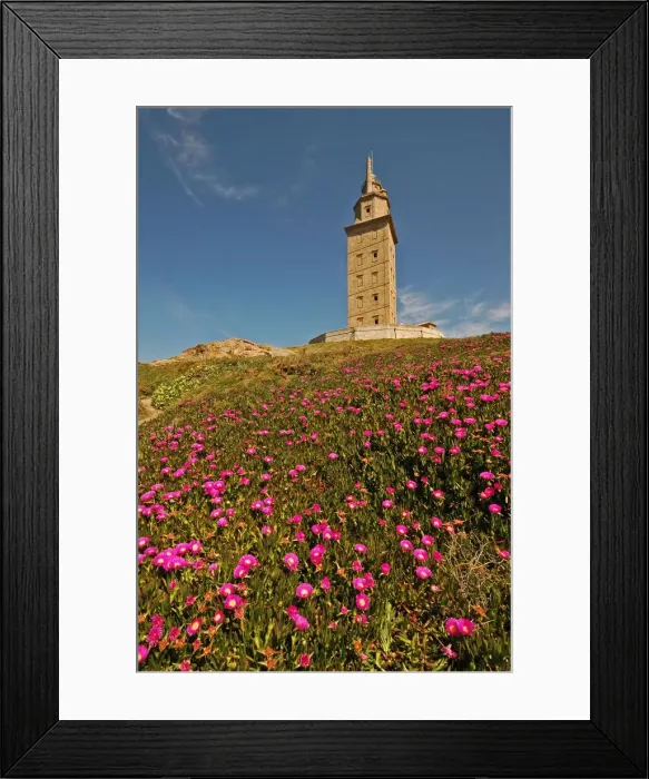 Framed Print : DDE-90035102 Framed Print : DDE-90035102