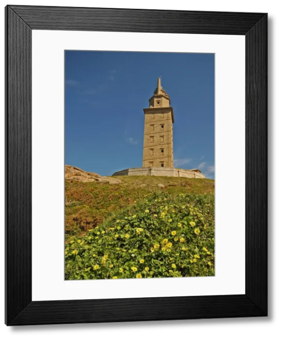 Framed Print : DDE-90035103 Framed Print : DDE-90035103