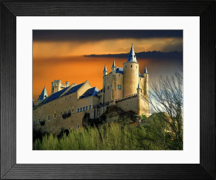 Framed Print : DDE-90035106