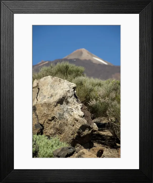 Framed Print : DDE-90035123 Framed Print : DDE-90035123
