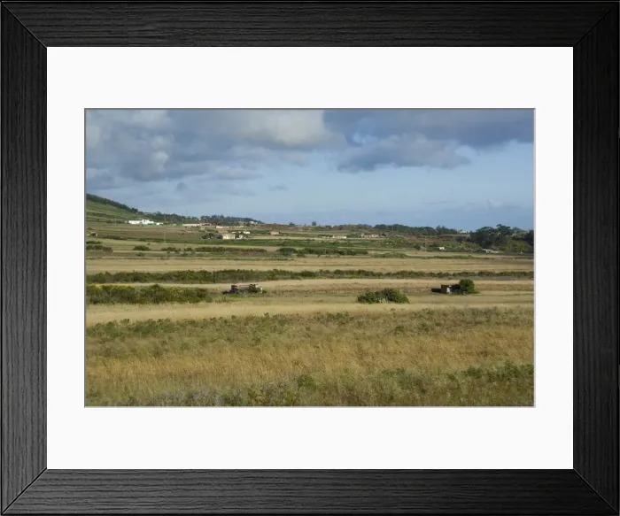 Framed Print : DDE-90035132