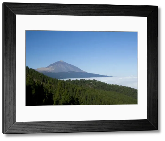 Framed Print : DDE-90035133 Framed Print : DDE-90035133