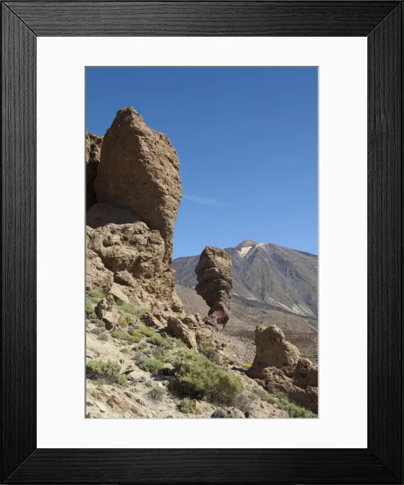 Framed Print : DDE-90035139