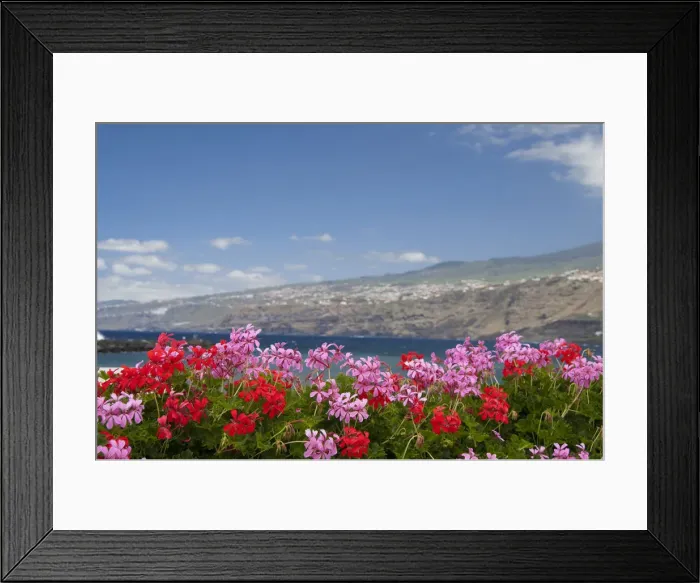 Framed Print : DDE-90035146 Framed Print : DDE-90035146