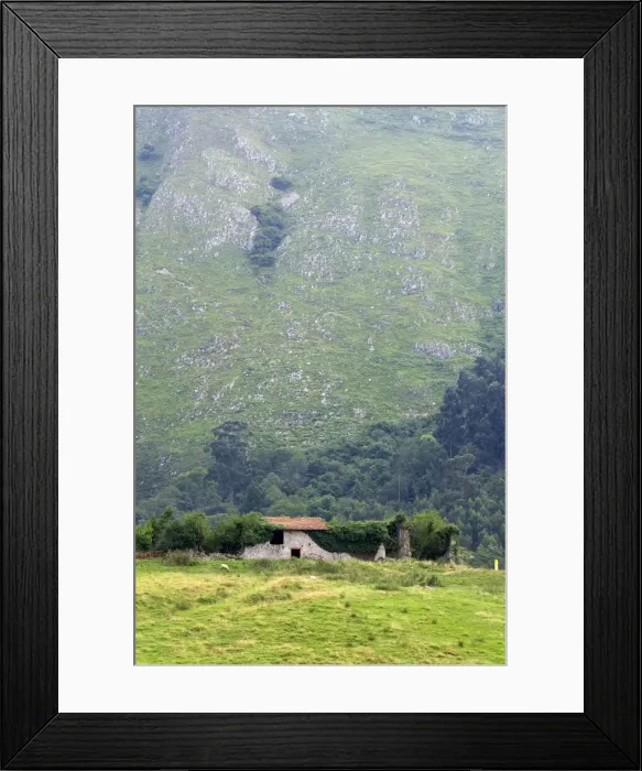 Framed Print : DDE-90035169 Framed Print : DDE-90035169