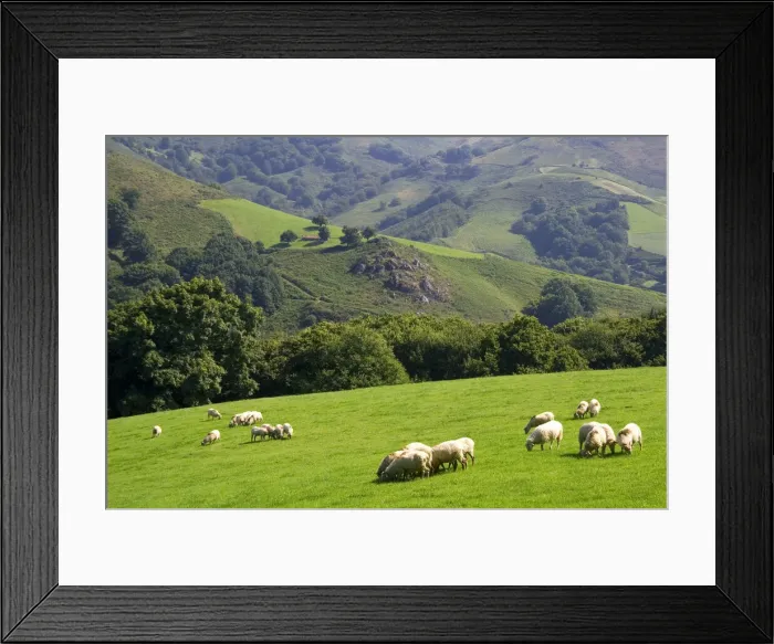 Framed Print : DDE-90035172 Framed Print : DDE-90035172