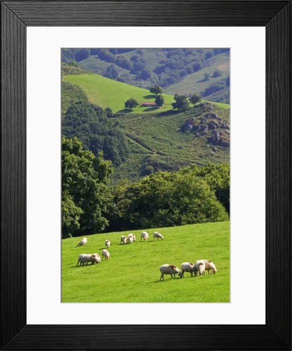 Framed Print : DDE-90035171