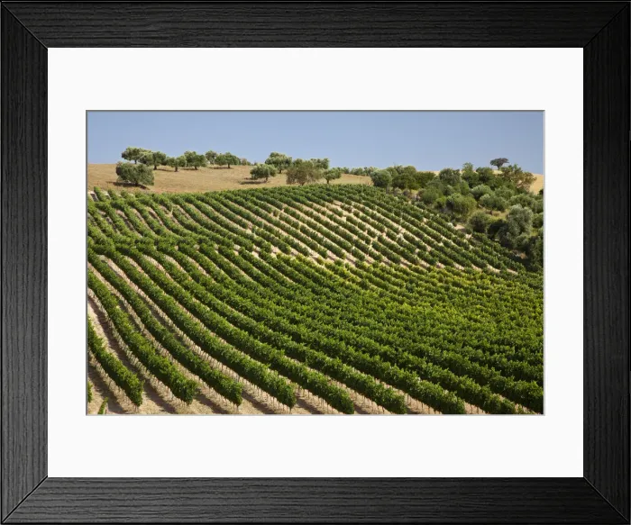 Framed Print : DDE-90035190 Framed Print : DDE-90035190