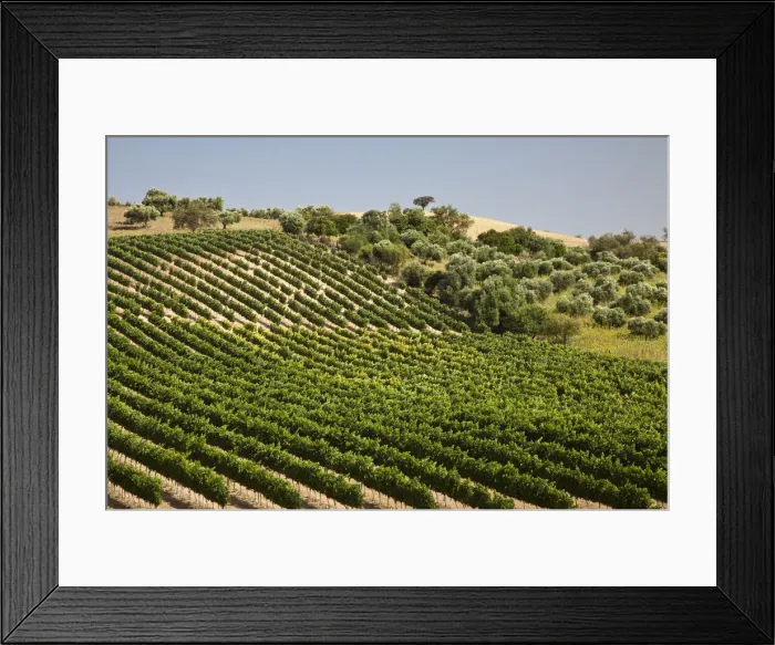 Framed Print : DDE-90035191